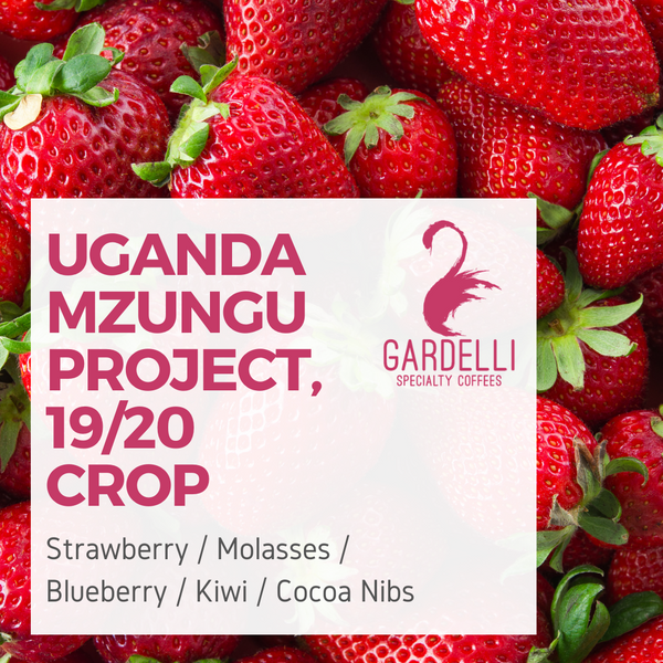 مشروع مزنجو / اوغندا للفلتر والاسبرسو 250ج